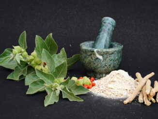 Entdecke die Vorteile von Ashwagandha