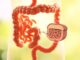 darm-gesundheit-tipps